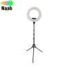 رینگ لایت حرفه ای عکاسی FE 480 II Ring Light(قطر۴۶توان۹۶وات) - Image 5
